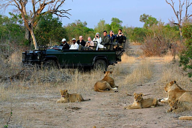 Aquila Safari Day Tour
