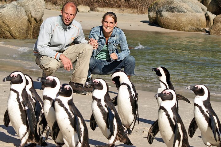 Cape Peninsula Tour